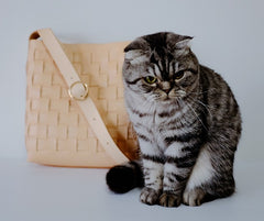 Vintage Leather Beige Braided Womens Crossbody Purse Shoulder Bag for Women